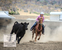 AdaminabyCampdraft2019_1066