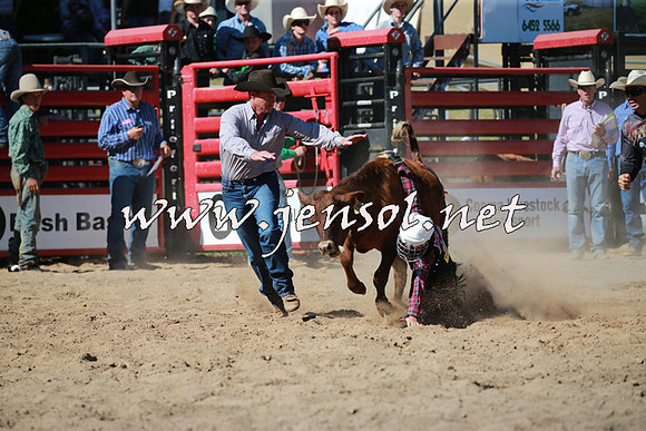 CoomaRodeo2016_1841