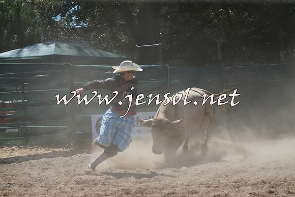CoomaRodeo2016_1003