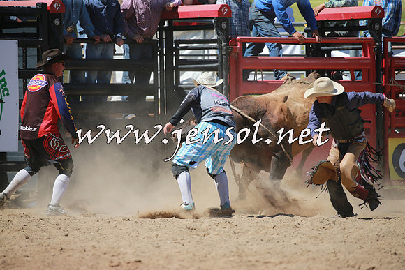 CoomaRodeo2016_1088