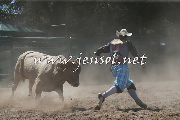 CoomaRodeo2016_1023