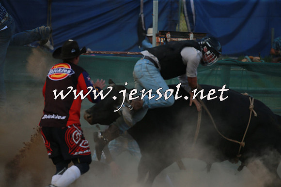 CoomaRodeo2016_2666
