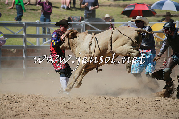 CoomaRodeo2016_0978