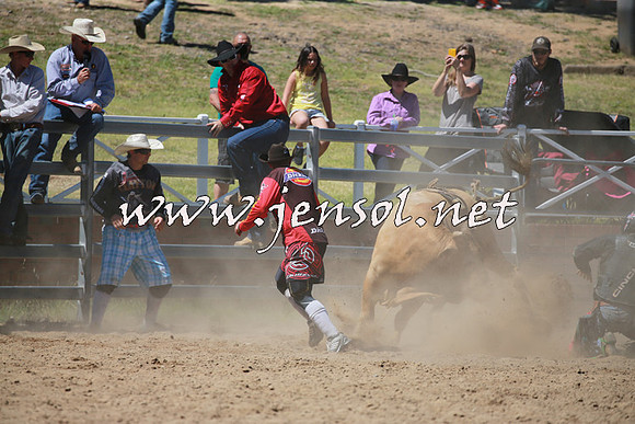 CoomaRodeo2016_0813