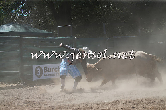 CoomaRodeo2016_1009