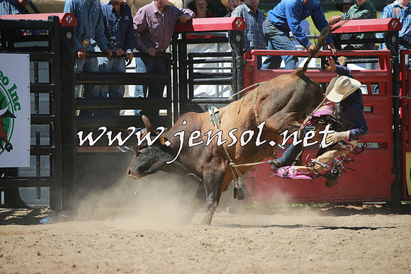 CoomaRodeo2016_1076