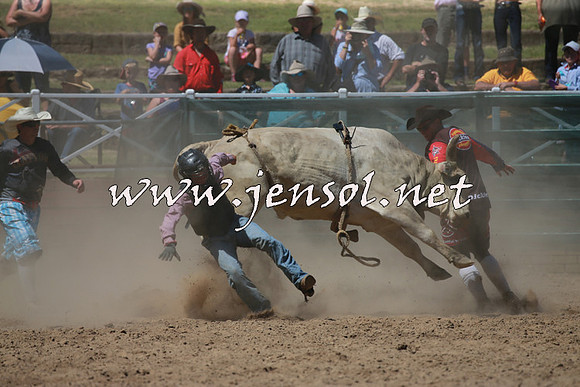 CoomaRodeo2016_0935
