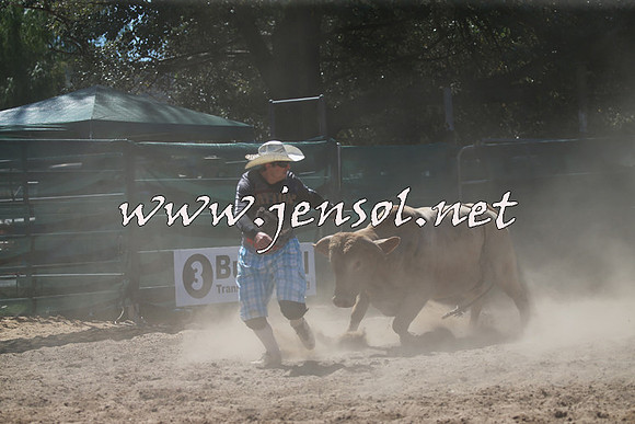 CoomaRodeo2016_1013