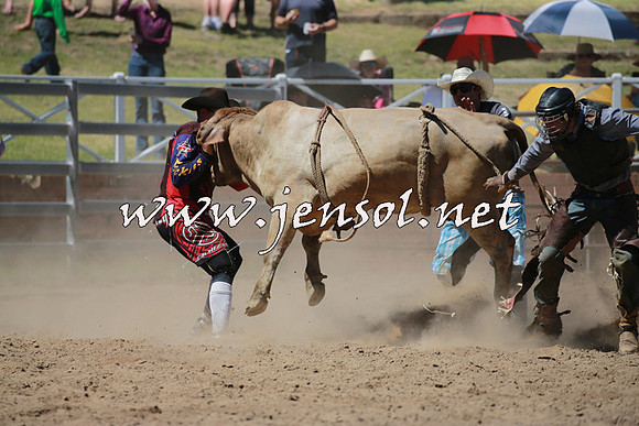 CoomaRodeo2016_0977
