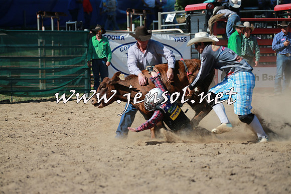 CoomaRodeo2016_1837