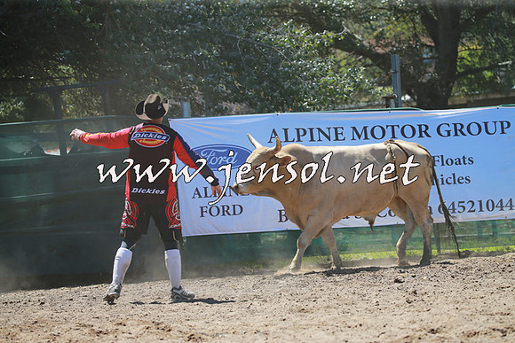 CoomaRodeo2016_0773