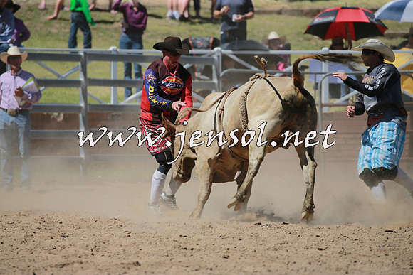 CoomaRodeo2016_0981