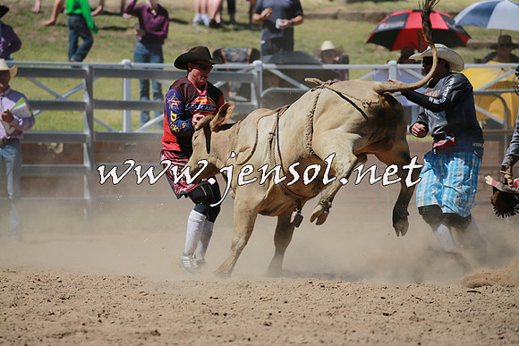 CoomaRodeo2016_0980