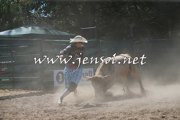CoomaRodeo2016_1001