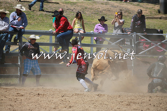 CoomaRodeo2016_0814