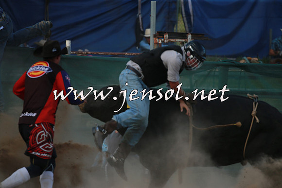 CoomaRodeo2016_2669