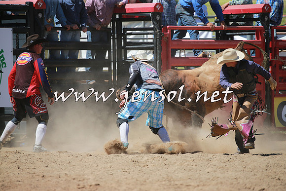 CoomaRodeo2016_1087