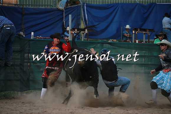 CoomaRodeo2016_2647