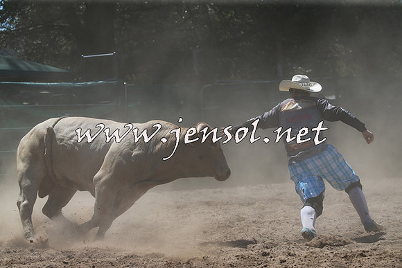 CoomaRodeo2016_1020