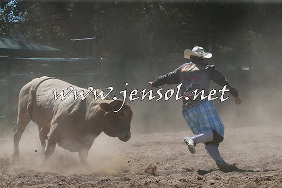 CoomaRodeo2016_1024