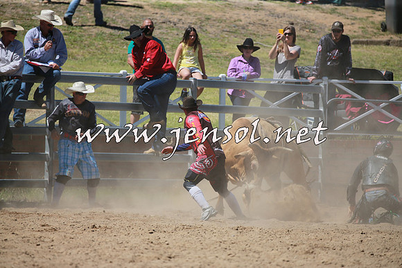 CoomaRodeo2016_0815