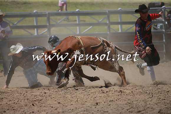 CoomaRodeo2016_0666