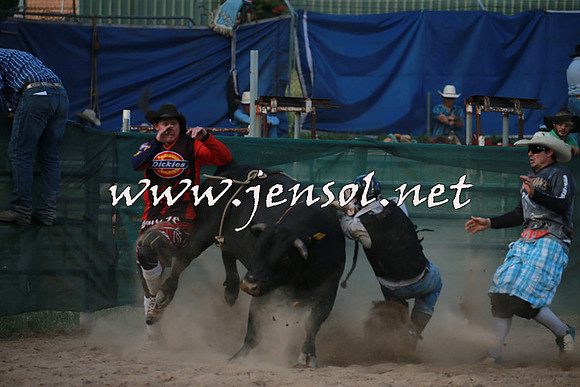 CoomaRodeo2016_2649