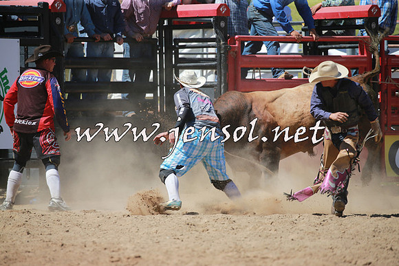 CoomaRodeo2016_1086