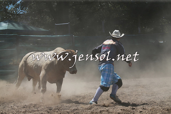 CoomaRodeo2016_1021
