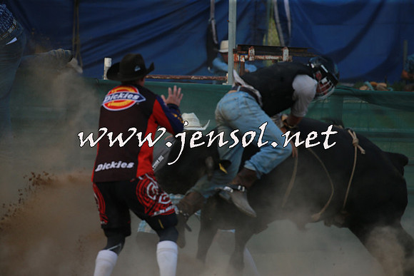 CoomaRodeo2016_2663