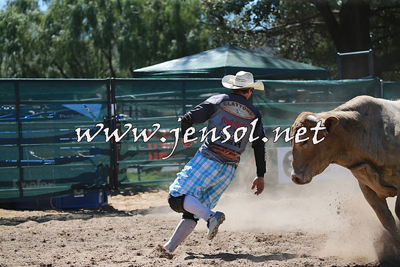 CoomaRodeo2016_0995