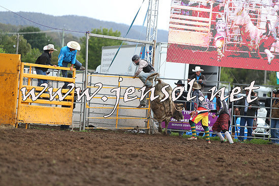 QueanbeyanRodeo2014_2709