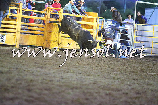 QueanbeyanRodeo2014_3413