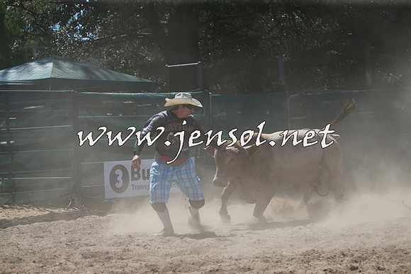 CoomaRodeo2016_1015