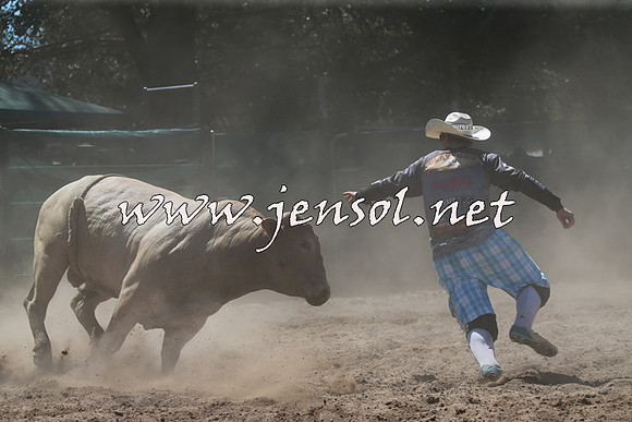 CoomaRodeo2016_1019