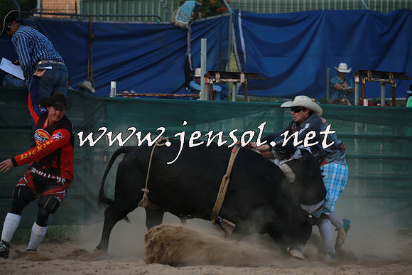 CoomaRodeo2016_2652