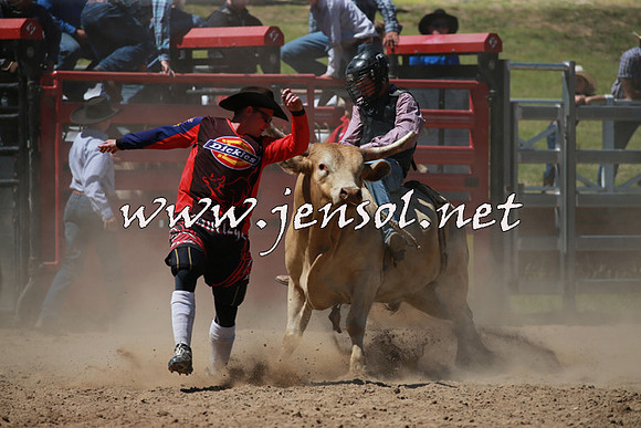 CoomaRodeo2016_0765