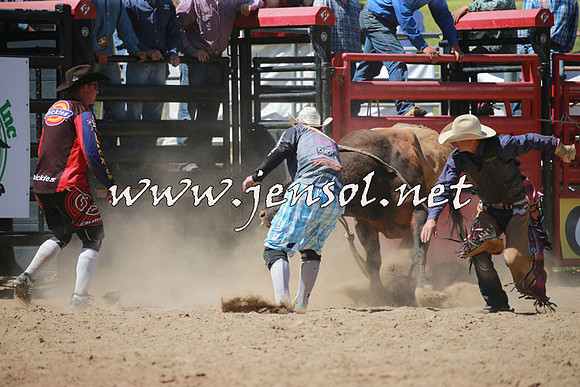 CoomaRodeo2016_1073