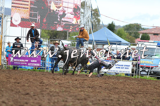 QueanbeyanRodeo2014_2607