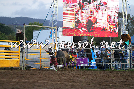 QueanbeyanRodeo2014_3270