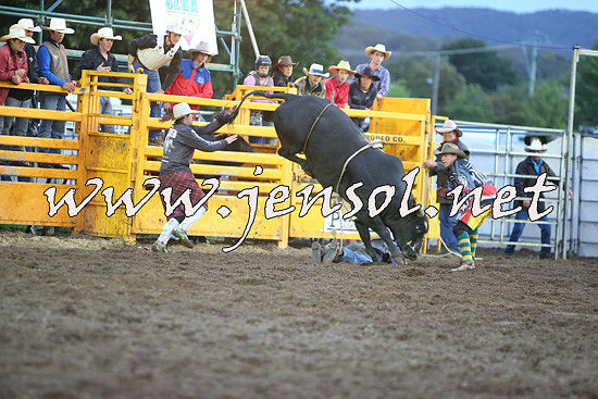 QueanbeyanRodeo2014_3383