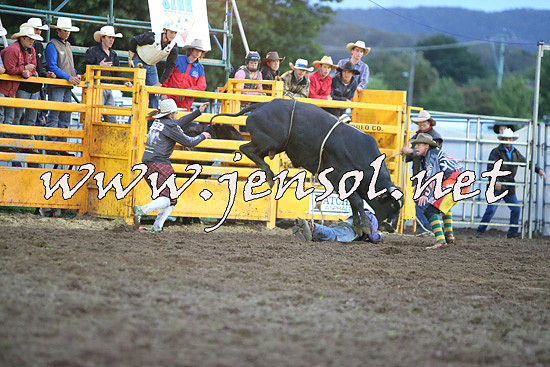 QueanbeyanRodeo2014_3378