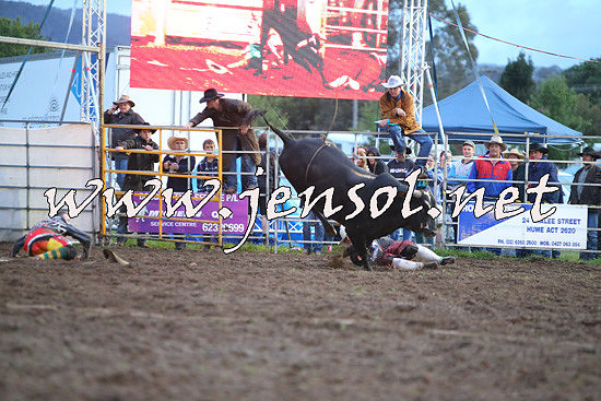 QueanbeyanRodeo2014_3393