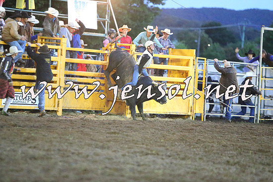 QueanbeyanRodeo2014_3405