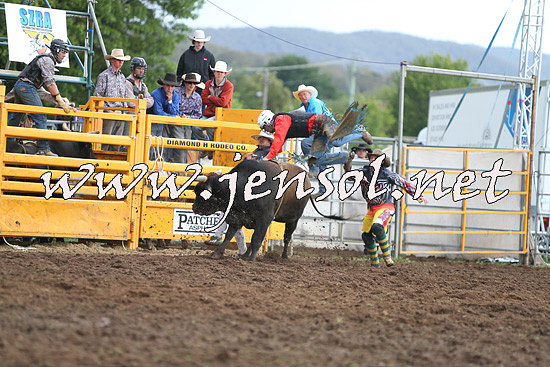 QueanbeyanRodeo2014_2671