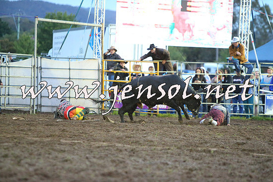 QueanbeyanRodeo2014_3389