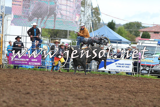 QueanbeyanRodeo2014_2603