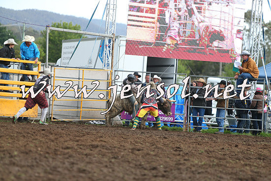 QueanbeyanRodeo2014_2706
