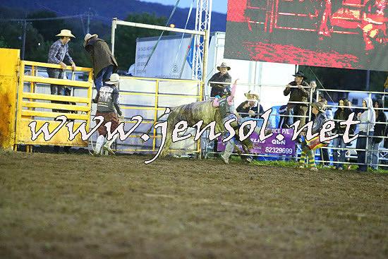 QueanbeyanRodeo2014_3431