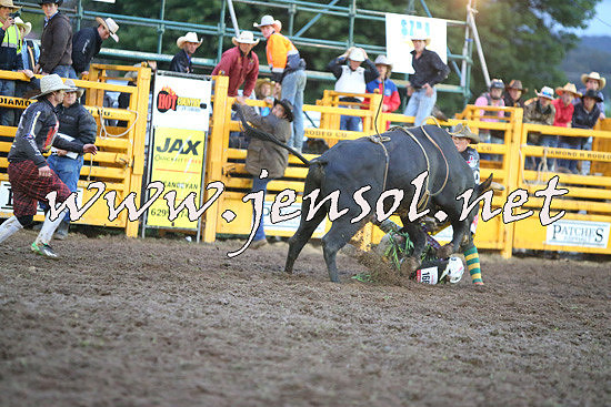 QueanbeyanRodeo2014_3336